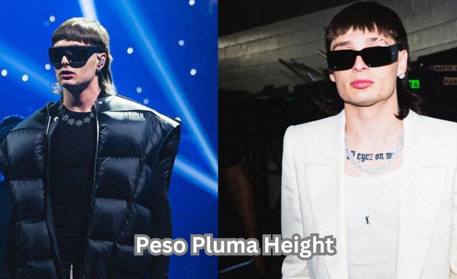 peso pluma height