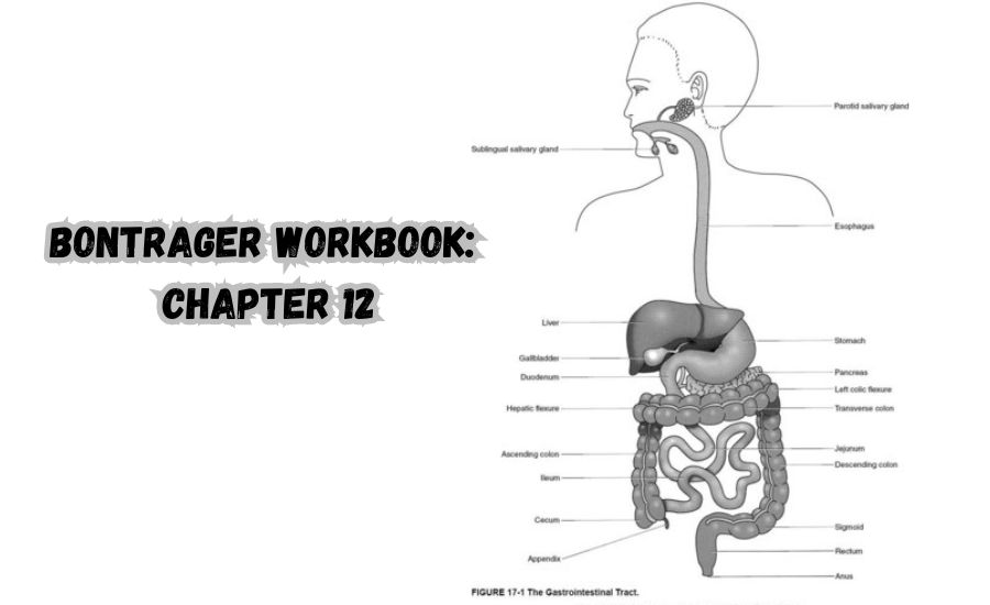 bontrager workbook: chapter 12