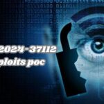 cve-2024-37112 exploits poc