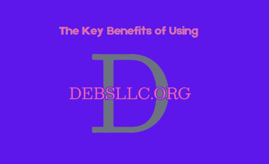 debsllcs.org/