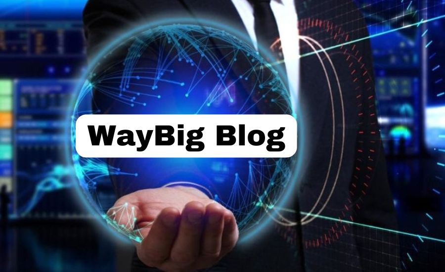 WayBig Blog