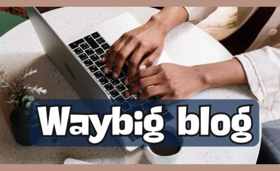 waybig blog