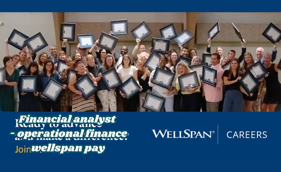 financial analyst - operational finance wellspan pay