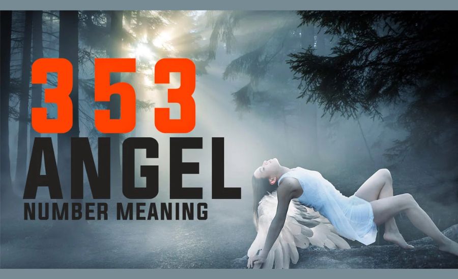 353 angel number