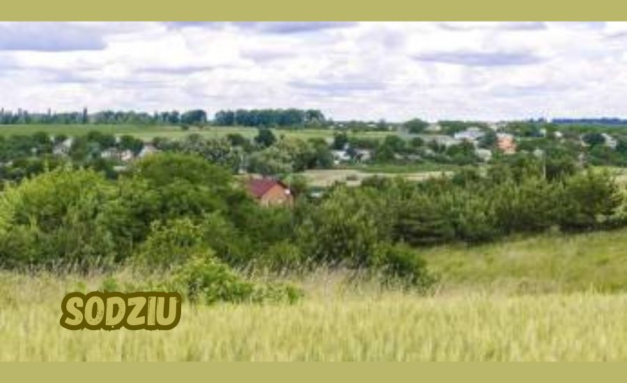 sodziu
