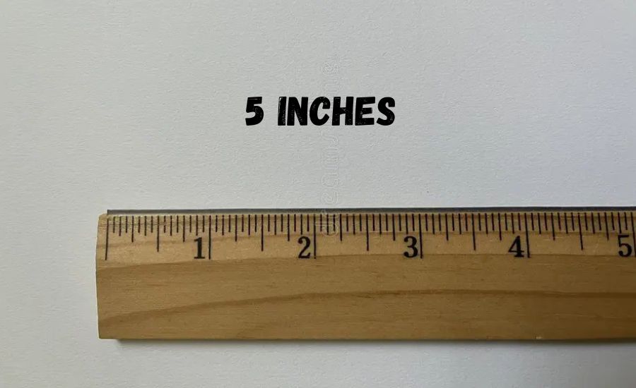 5 inches