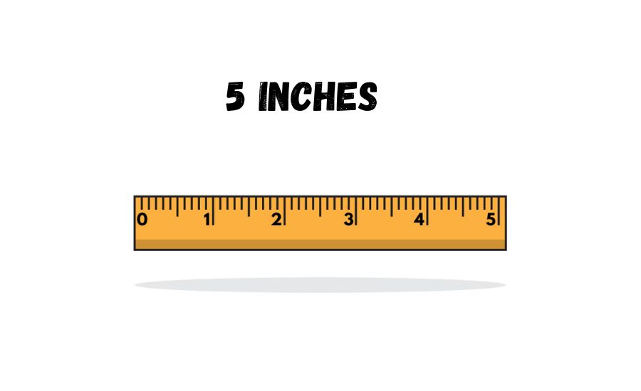 5 inches